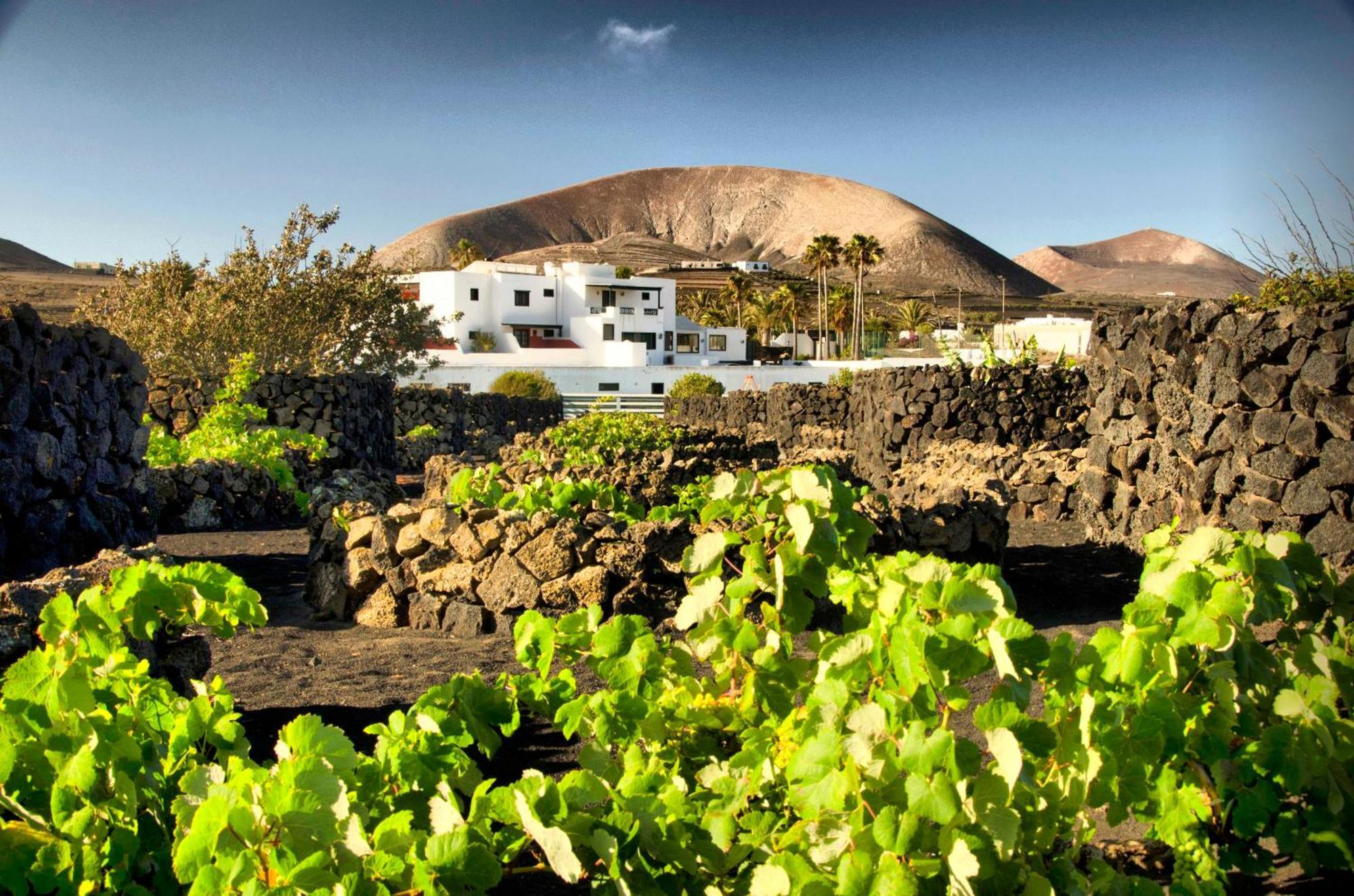 Hotel Rural Finca De La Florida San Bartolomé Buitenkant foto